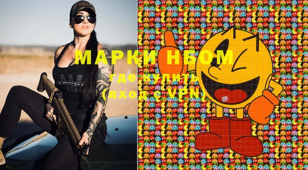 ПСИЛОЦИБИНОВЫЕ ГРИБЫ Белокуриха