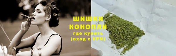 ПСИЛОЦИБИНОВЫЕ ГРИБЫ Белокуриха
