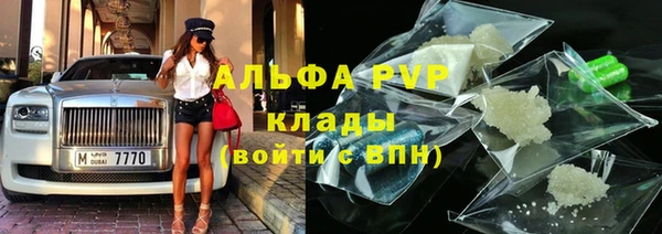 ПСИЛОЦИБИНОВЫЕ ГРИБЫ Белокуриха
