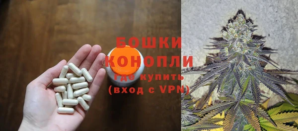 ПСИЛОЦИБИНОВЫЕ ГРИБЫ Белокуриха