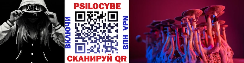 Псилоцибиновые грибы ЛСД ОМГ ОМГ онион Буйнакск